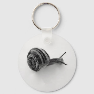 Chaveiro Snail