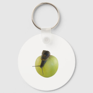Chaveiro Snail and apple