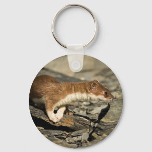 Chaveiro Sniffing Weasel