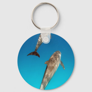 Chaveiro snorkeling com golfinhos