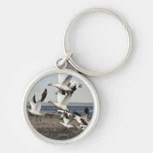 Chaveiro Snow Geese Voadora