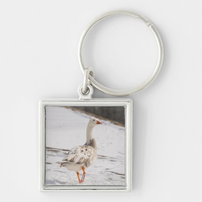 Chaveiro Snow Goose Strut (Frente)
