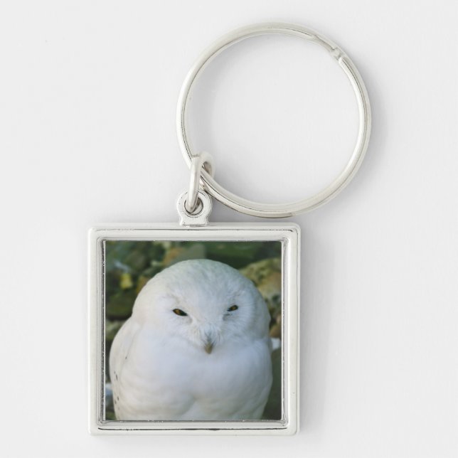Chaveiro Snowy Owl (Frente)