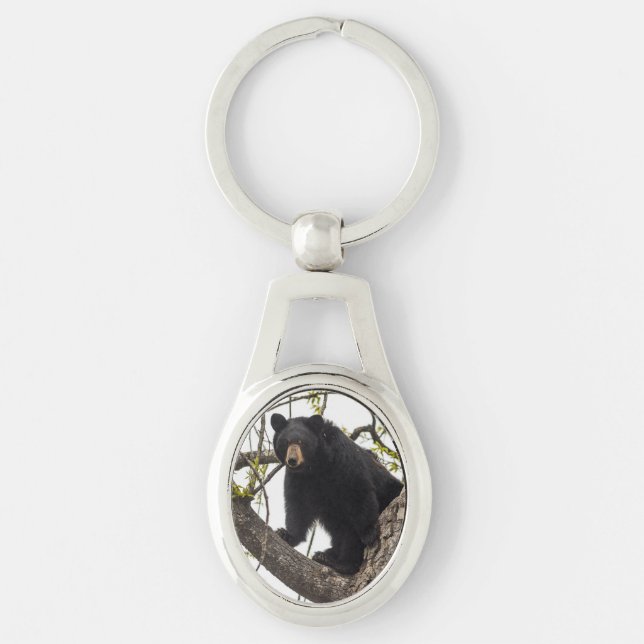 Chaveiro Sobe Urso Negro (Frente)