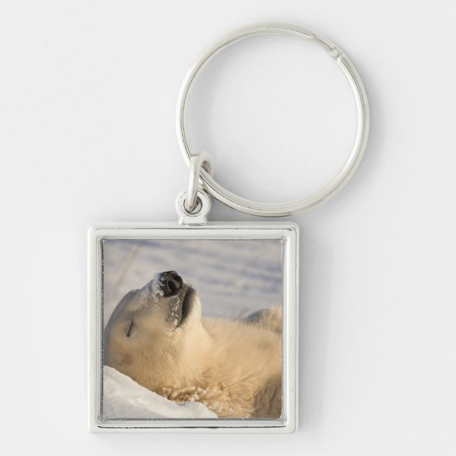 Chaveiro Soneca do Urso Polar (Frente)