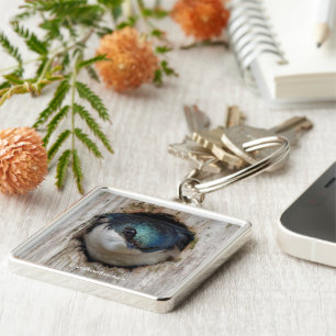 Chaveiro Songbird em árvore estonteante no Nestbox