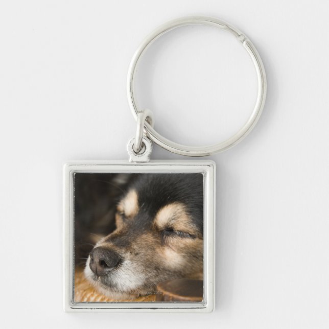Chaveiro Sono 2 do cão (Frente)