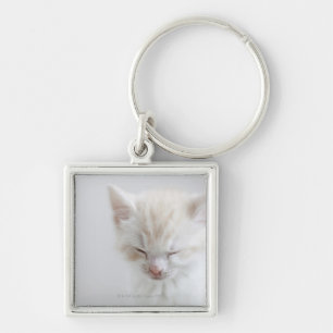 Chaveiro Sono branco do gatinho