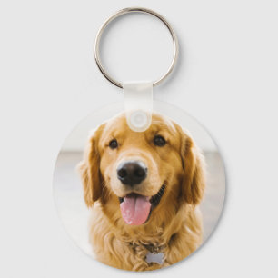 Chaveiro Sorriso de ouro Retriever
