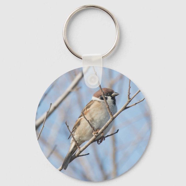 Chaveiro Sparrow (Frente)