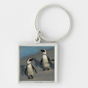 Chaveiro Spheniscus africano Demersus dos pinguins