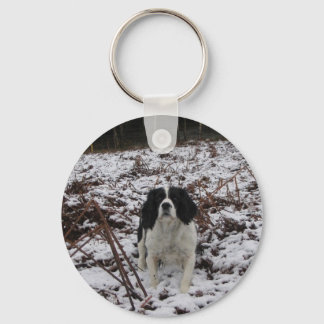 Chaveiro Springer Spaniel, teclado