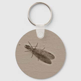 Chaveiro Ssepia voadora de Dobsonfly