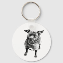 Staffordshire Bull Terrier art