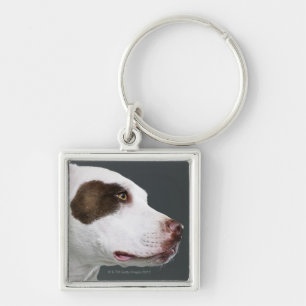 Chaveiro Staffordshire bull terrier, fim-acima