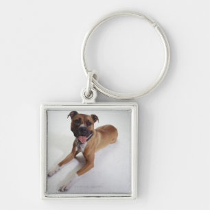 Chaveiro Staffordshire Terrier americano que encontra-se