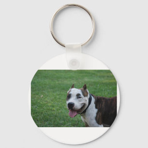 Chaveiro staffy 4.png