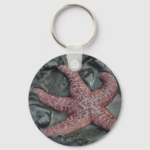 Chaveiro StarFish na Oceanside, no Condado de Tillamook, Or