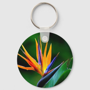 Chaveiro Strelitzia. Pássaro da flor de paraíso