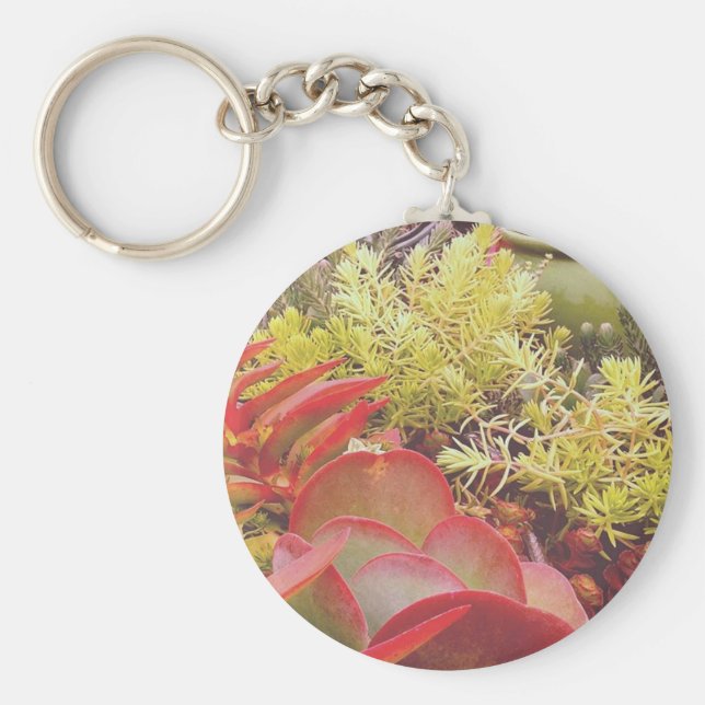 Chaveiro Suculentos Coloridos (Frente)