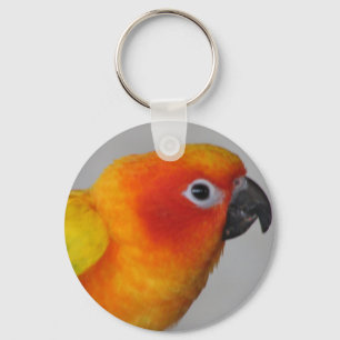 Chaveiro Sun Conure