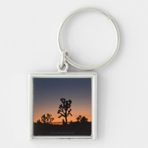 Chaveiro Sunset Joshua Trees