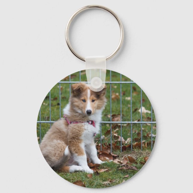 Chaveiro Super Cute Collie (Frente)