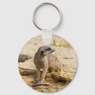 Chaveiro Suricata
