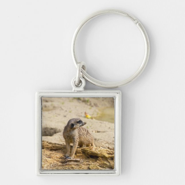 Chaveiro Suricata (Frente)