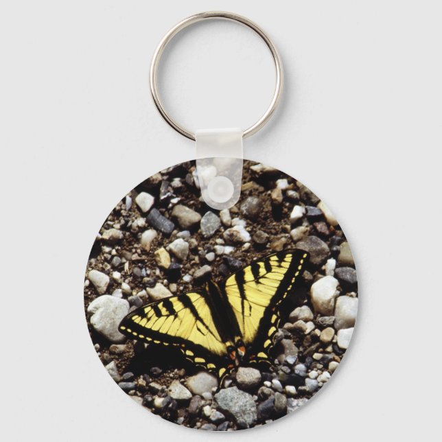 Chaveiro Swallowtail amarelo ocidental (4) (Frente)