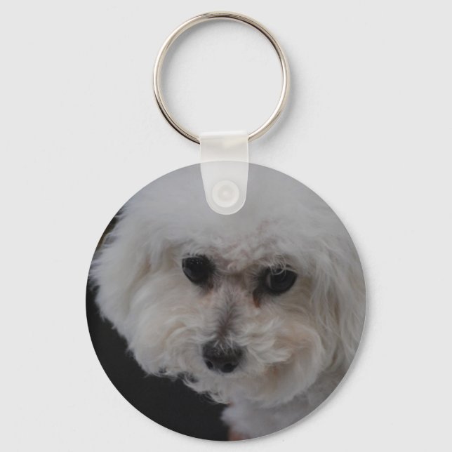 Chaveiro Sweet Bichon Frise (Frente)