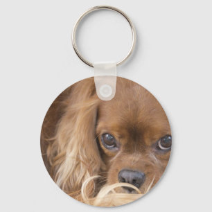 Chaveiro Sweet Ruby Cavalier King Charles Spaniel