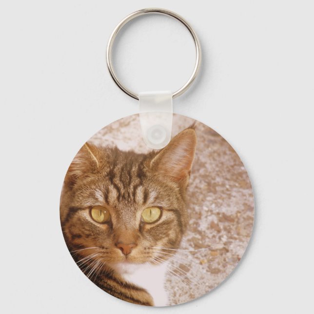Chaveiro Tabby Cat (Frente)