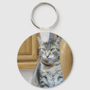 Chaveiro Tabby Cat