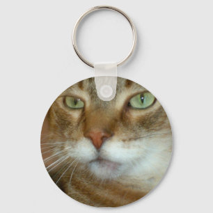 Chaveiro Tabby Cat Love