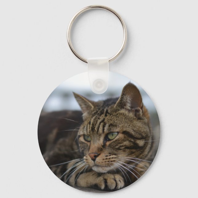 Chaveiro Tabby cat pronto para ação (Frente)