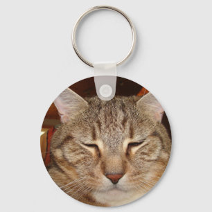 Chaveiro Tabby Tiger Cat