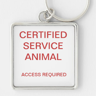Chaveiro Tag de cão animal certificado do serviço