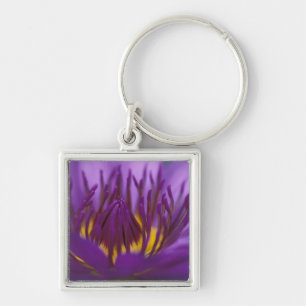 Chaveiro Tailândia, Banguecoque, Lótus roxo e amarelo 2