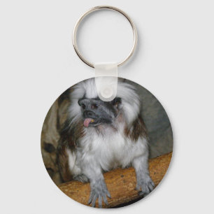 CHAVEIRO TAMARIN DE COTTON-TOP