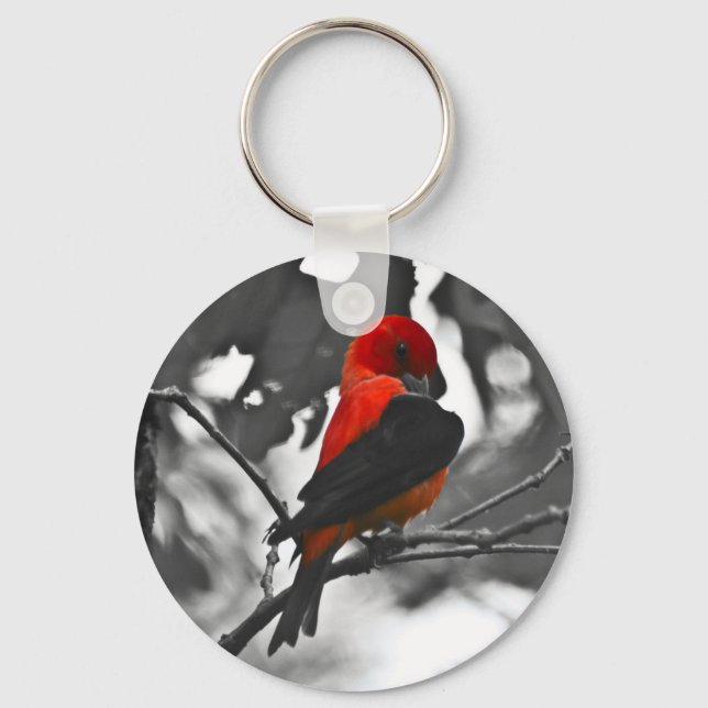 Chaveiro Tanager Escarlate Macho (Frente)