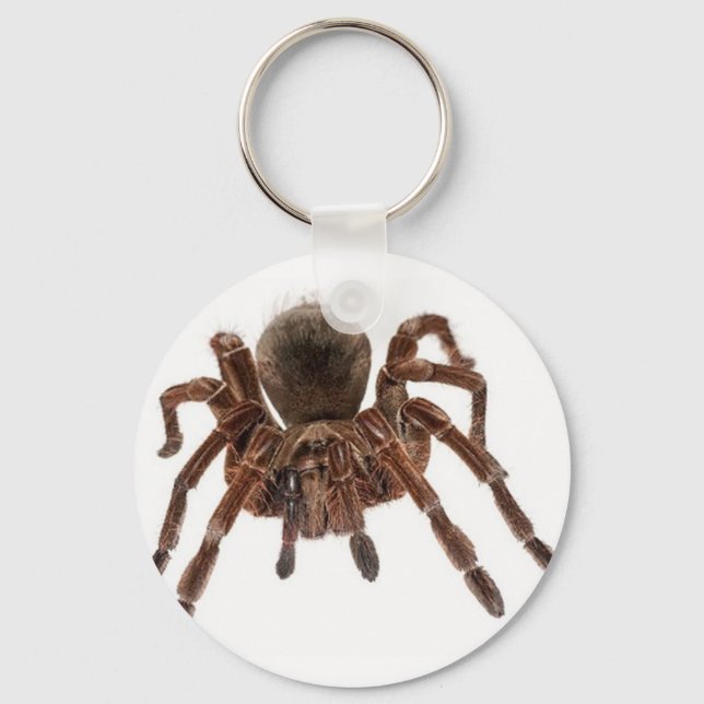 CHAVEIRO TARANTULA (Frente)