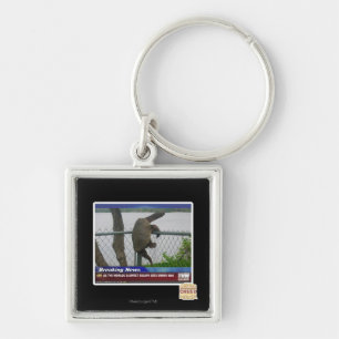 Chaveiro Tartaruga de Excaping
