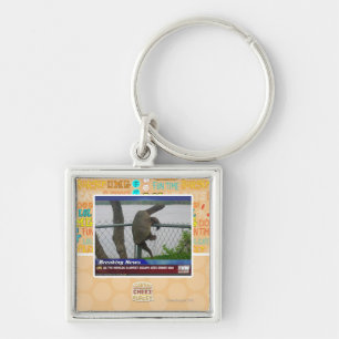 Chaveiro Tartaruga de Excaping