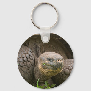 Chaveiro Tartaruga gigante