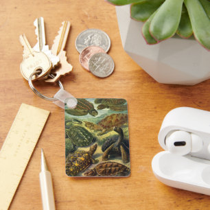 Chaveiro Tartarugas Marinhas e Jabutis Vintage por Ernst Ha