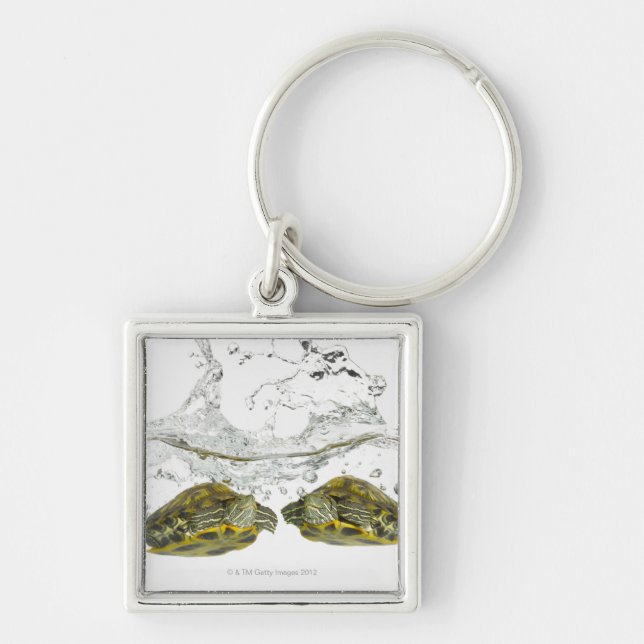 Chaveiro Tartarugas vermelhas do slider (Frente)