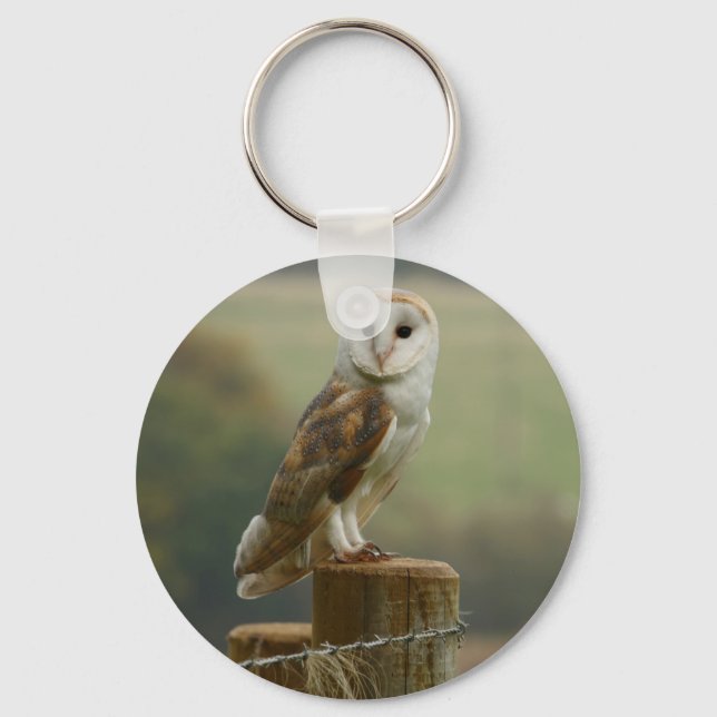Chaveiro Tecla Barn Owl (Frente)