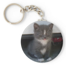 Tecla do GATINHO NEGRITO