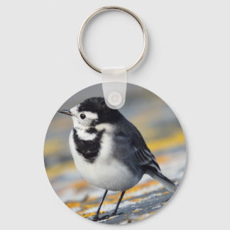 Chaveiro Teclado Wagtail Dinâmico